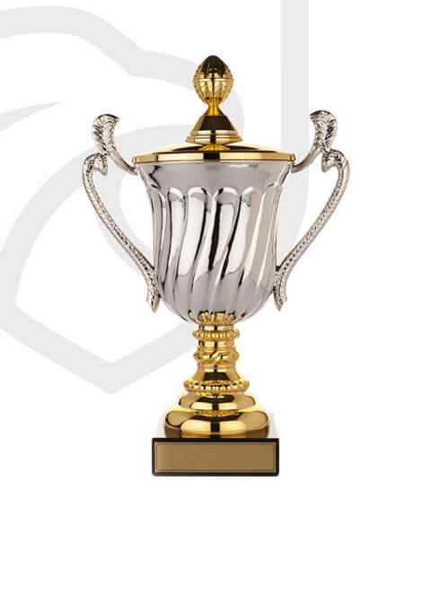 http://dreamchasersfuture.com/wp-content/uploads/2022/11/trophy_overlay_02.jpg